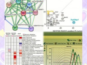 dnaandcellbiology—DNA 与细胞生物学：探索生命的奥秘