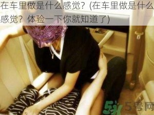 在车里做是什么感觉？(在车里做是什么感觉？体验一下你就知道了)