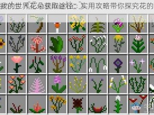 解析我的世界花朵获取途径：实用攻略带你探究花的收集方法