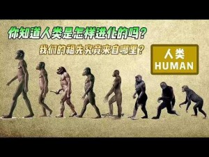 满级人类进化探索：好玩吗？揭秘进化历程的奇迹之旅