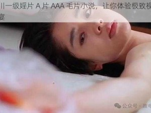 四川一级婬片 A 片 AAA 毛片小说，让你体验极致视觉盛宴