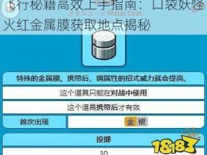 飞行秘籍高效上手指南：口袋妖怪火红金属膜获取地点揭秘