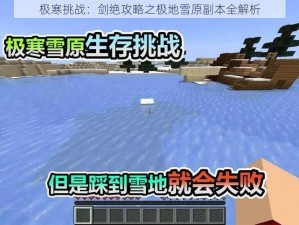 极寒挑战：剑绝攻略之极地雪原副本全解析