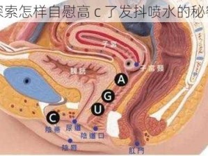 探索怎样自慰高 c 了发抖喷水的秘密