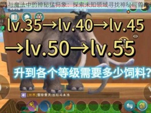 创造与魔法中的神秘猛犸象：探索未知领域寻找神秘巨兽之迹