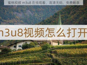 蜜桃视频 m3u8 在线观看，高清无码，免费畅享