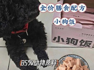 人狗胶配方大全：人狗胶能给狗狗补充营养，但需注意喂食量，狗狗一天吃多少合适呢？