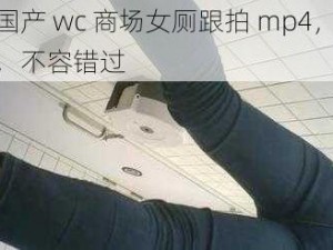 全新国产 wc 商场女厕跟拍 mp4，极致体验，不容错过