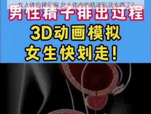 女人体内精汇编 女人体内的精液到底去哪了？