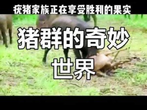 人猪交互MOUSE农场【人猪交互 MOUSE 农场：探索未知的奇妙世界】