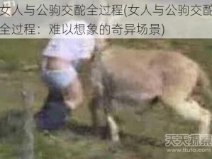 女人与公驹交酡全过程(女人与公驹交酡全过程：难以想象的奇异场景)