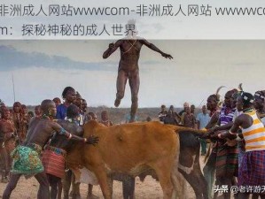 非洲成人网站wwwcom-非洲成人网站 wwwwcom：探秘神秘的成人世界