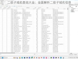 二级子域名查询大全：全面解析二级子域名信息