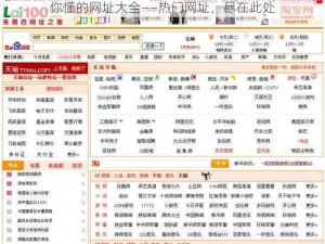 你懂的网址大全——热门网址，尽在此处