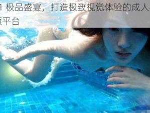 91 极品盛宴，打造极致视觉体验的成人视频平台