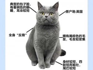 🐱被吃小头头：爱与被爱，无法拒绝的诱惑😍