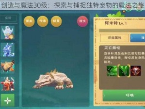 创造与魔法30级：探索与捕捉独特宠物的魔法之旅