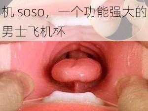 Chinese 体育生粗口飞机 soso，一个功能强大的男士飞机杯