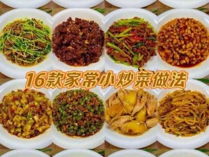 关于家常小炒的丰富世界：6000例精选美食指南