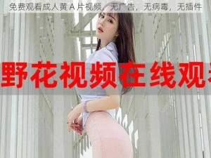 免费观看成人黄 A 片视频，无广告，无病毒，无插件