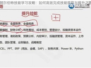 阿尔伯特技能学习攻略：如何高效完成技能获取与提升之路