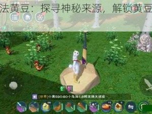 创造与魔法黄豆：探寻神秘来源，解锁黄豆世界的奇幻之旅