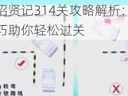 成语招贤记314关攻略解析：策略与技巧助你轻松过关