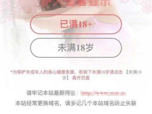 b 成人影片网站因涉黄被依法关停：传播色情内容危害大