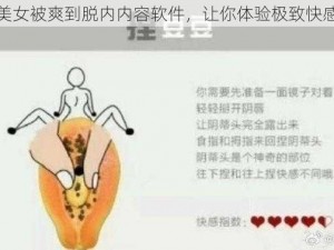 美女被爽到脱内内容软件，让你体验极致快感