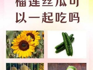 丝瓜向日葵黄瓜榴莲污绿巨人免费APP 视频内容丰富，满足用户各种口味需求