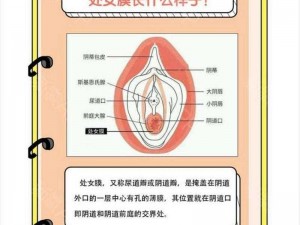 破處女苞大叫 A 片免费，视觉盛宴，震撼体验