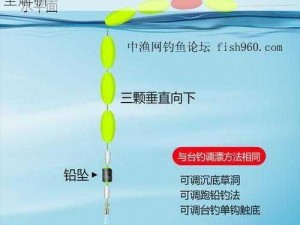 明日之后新探秘：海绵宝宝钓鱼地点及钓法全解析