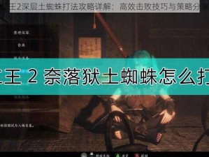 仁王2深层土蜘蛛打法攻略详解：高效击败技巧与策略分享