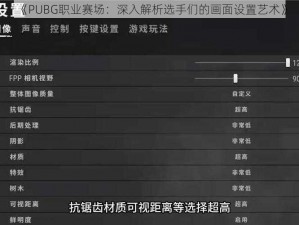 《PUBG职业赛场：深入解析选手们的画面设置艺术》