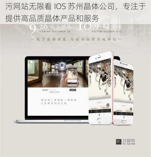 污网站无限看 IOS 苏州晶体公司，专注于提供高品质晶体产品和服务