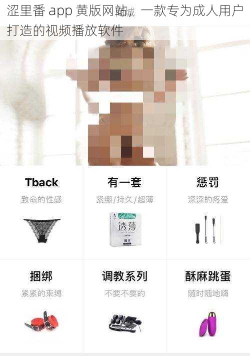 涩里番 app 黄版网站，一款专为成人用户打造的视频播放软件