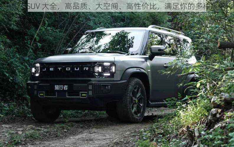 国产 SUV 大全，高品质、大空间、高性价比，满足你的多种需求