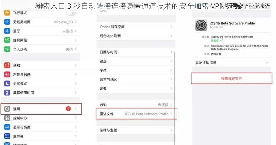 秘密入口 3 秒自动转接连接隐匿通道技术的安全加密 VPN 产品