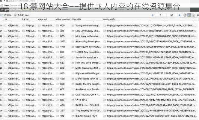 18 禁网站大全——提供成人内容的在线资源集合