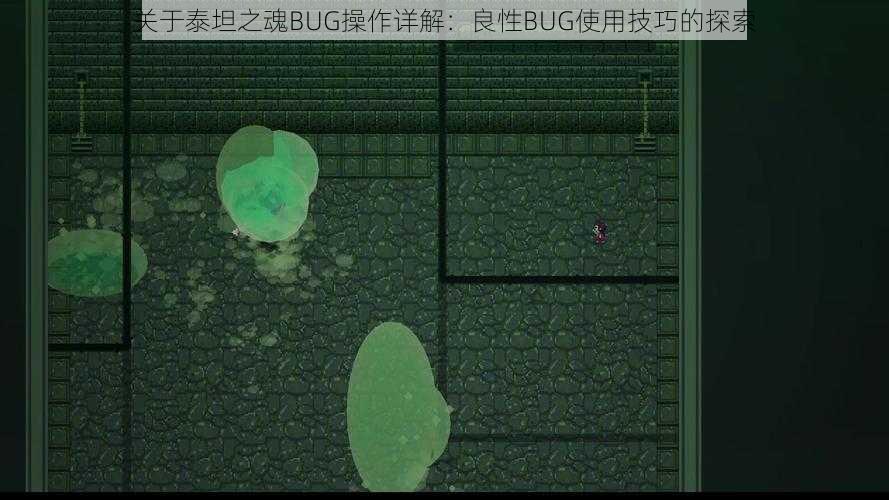 关于泰坦之魂BUG操作详解：良性BUG使用技巧的探索