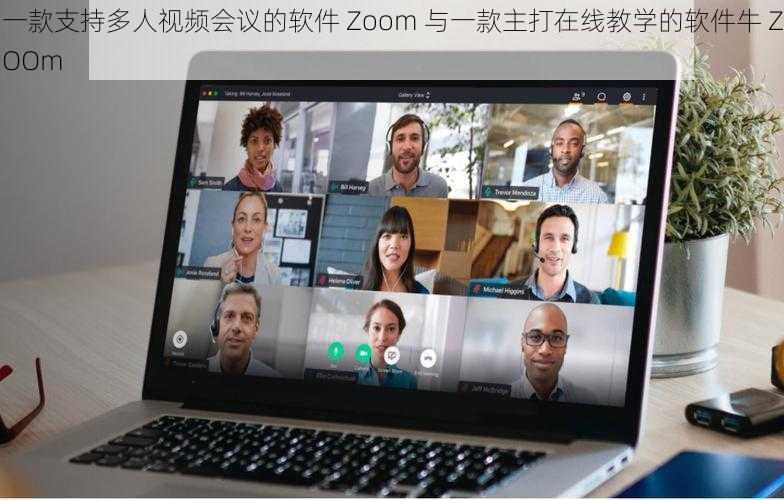 一款支持多人视频会议的软件 Zoom 与一款主打在线教学的软件牛 ZOOm