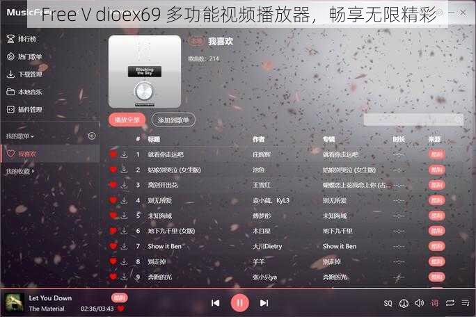 FreeⅤdioex69 多功能视频播放器，畅享无限精彩