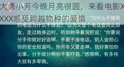 大勇小芳今晚月亮很圆，来看电影XXXX感受跨越物种的爱情