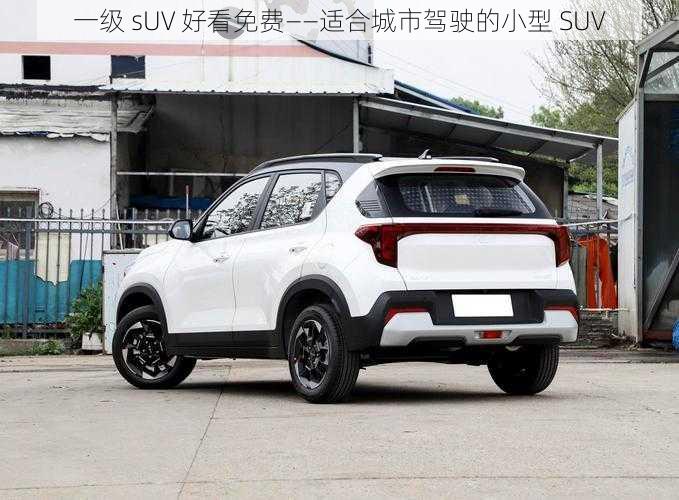 一级 sUV 好看免费——适合城市驾驶的小型 SUV