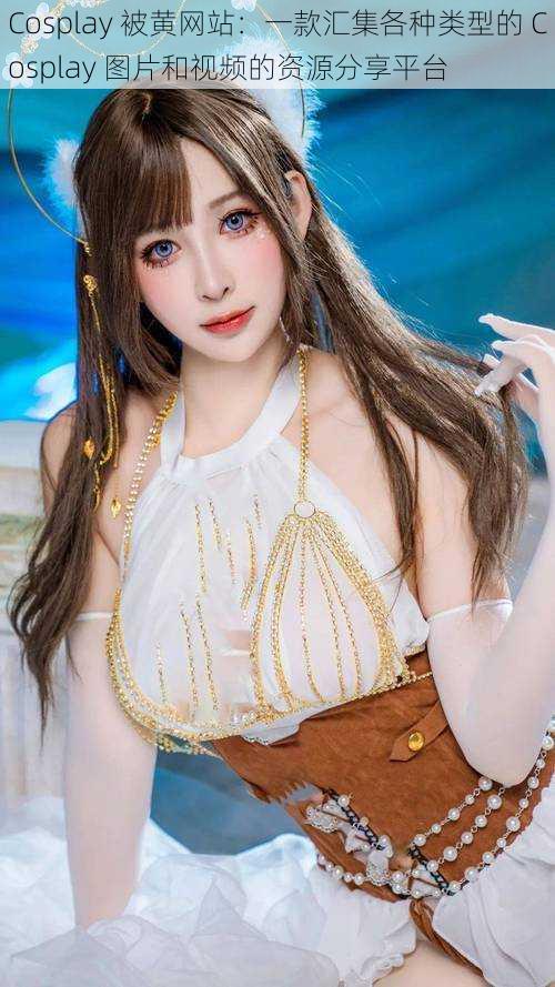 Cosplay 被黄网站：一款汇集各种类型的 Cosplay 图片和视频的资源分享平台