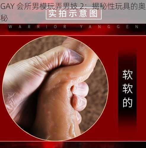 GAY 会所男模玩弄男妓 2：揭秘性玩具的奥秘