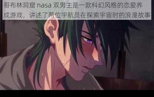 哥布林洞窟 nasa 双男主是一款科幻风格的恋爱养成游戏，讲述了两位宇航员在探索宇宙时的浪漫故事