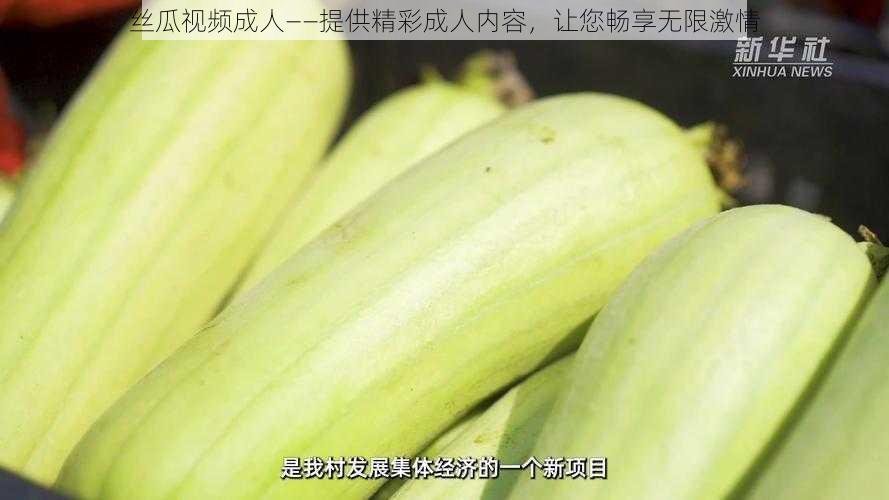 丝瓜视频成人——提供精彩成人内容，让您畅享无限激情