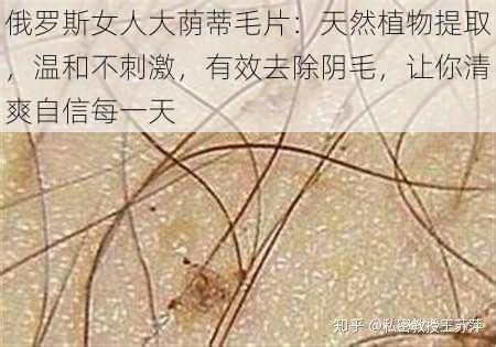 俄罗斯女人大荫蒂毛片：天然植物提取，温和不刺激，有效去除阴毛，让你清爽自信每一天