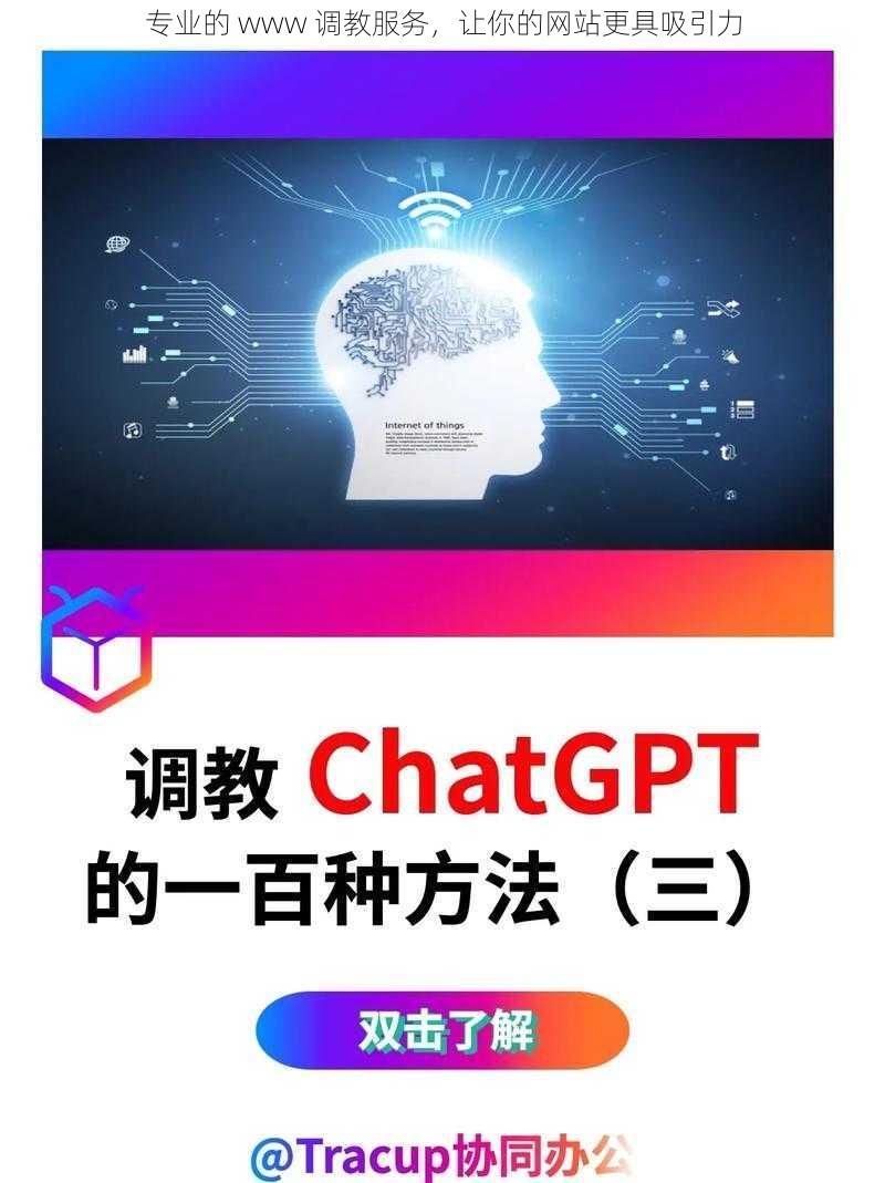 专业的 www 调教服务，让你的网站更具吸引力